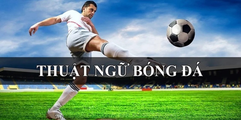 dat-cuoc-bong-da-thuat-ngu