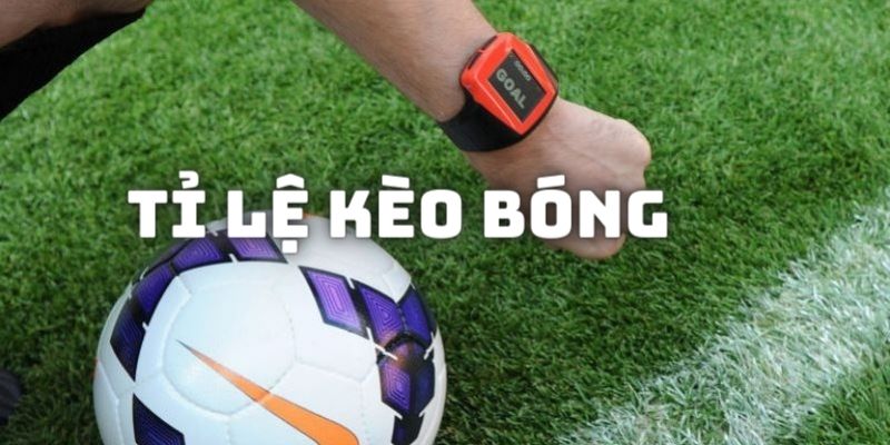 thumb-ti-le-keo-bong-w88